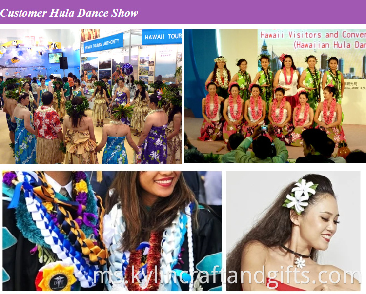 Hula Dance Show